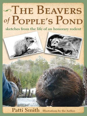 cover image of The Beavers of Popple's Pond
